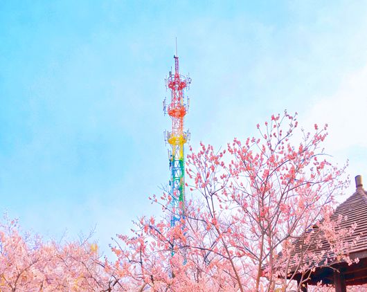 69c5e7fc8f2ad 69c5e7fc8f2ad