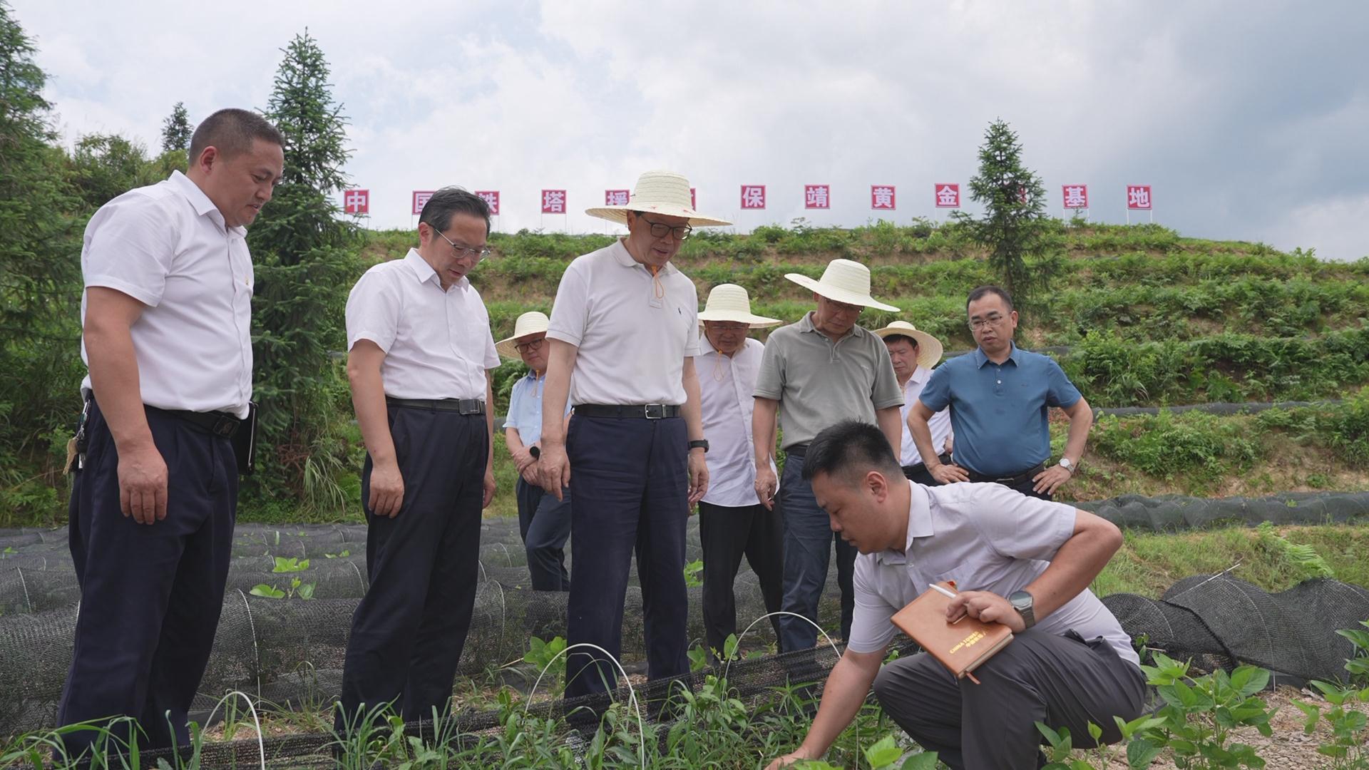 99eccda6676e7e90ba5ce950865d949c pg电子模拟器(中国游)官方网站