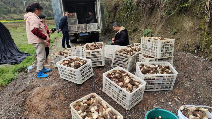 6bc845da048dda4dca5076874f62b5de pgµç×ÓÄ£ÄâÆ÷(ÖйúÓÎ)¹Ù·½ÍøÕ¾