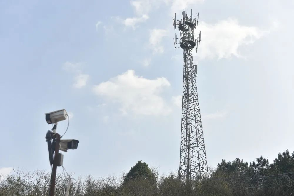 pg����ģ����(�й���)�ٷ���վ